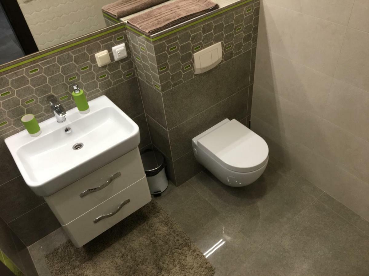 فيلا Radvi House دروسكينينكاي المظهر الخارجي الصورة